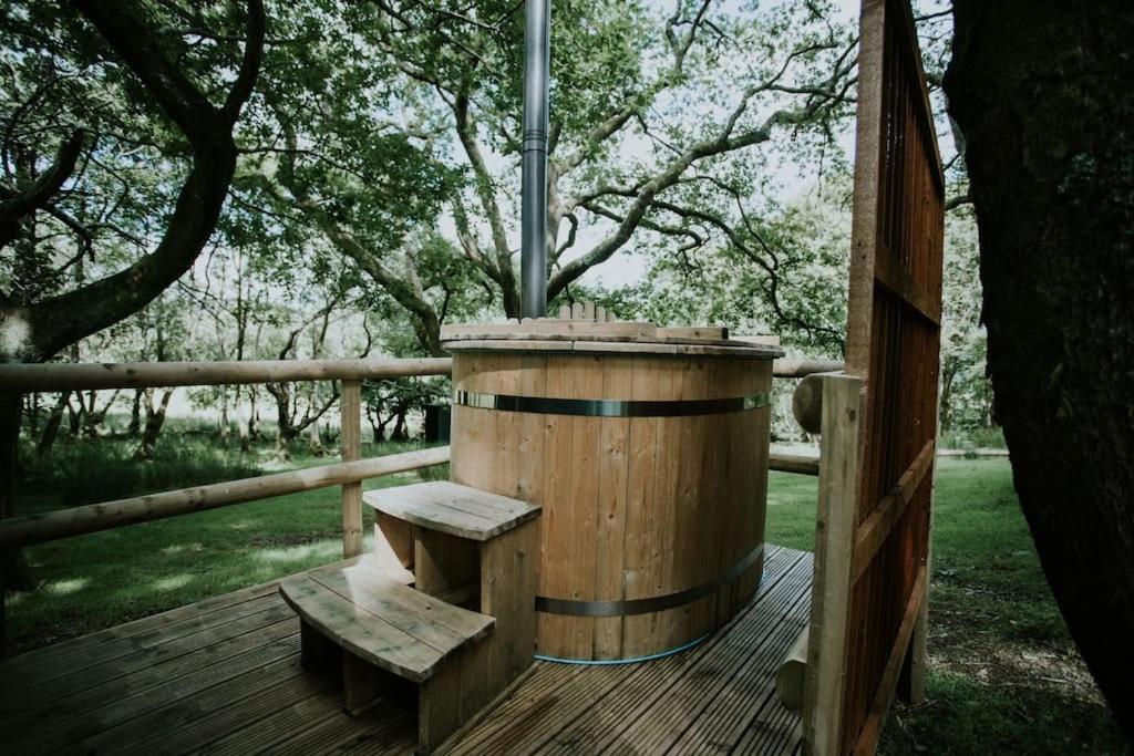 Oak Special Winter Offers - Hot Tub & Log Burner Apartment บาร์มัธ ภายนอก รูปภาพ